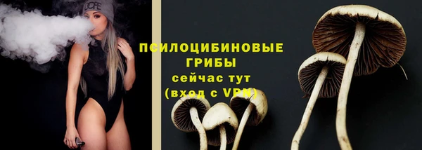 соль ск Верхний Тагил