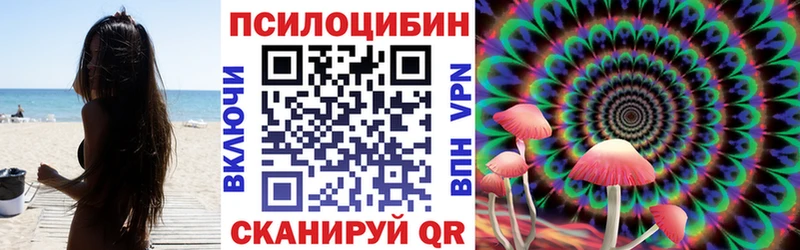 KRAKEN сайт  Гай  Галлюциногенные грибы Psilocybe 