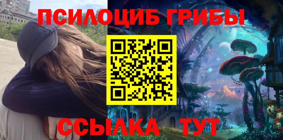 Галлюциногенные грибы прущие грибы Гай