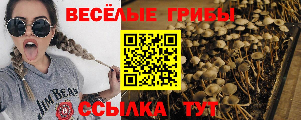Псилоцибиновые грибы Magic Shrooms  Вход с VPN  Галлюциногенные грибы ЛСД  Гай 