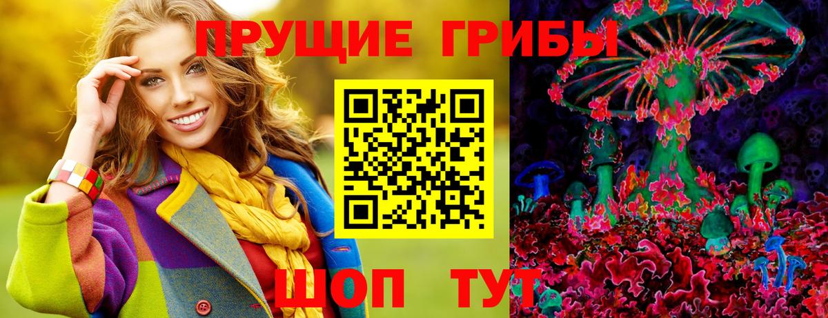 Галлюциногенные грибы Psilocybe Гай