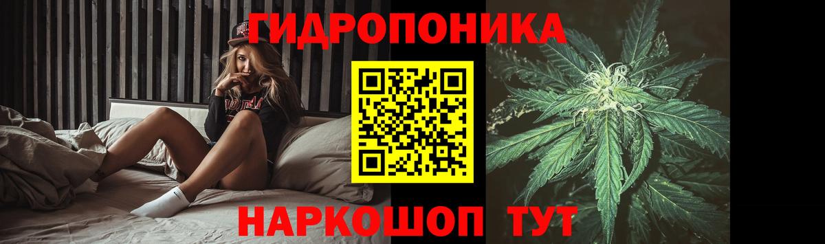 Шишки марихуана LSD WEED  Гай  Марихуана конопля  Конопля Bruce Banner 